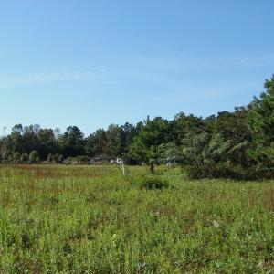 Photo of UNDER CONTRACT!  3.36 Acre Lot For Sale in Columbus County NC!