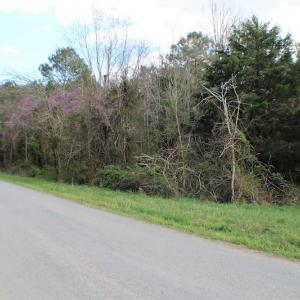 Photo of UNDER CONTRACT!  20 Acres of Timberland For Sale in Lunenburg County VA!