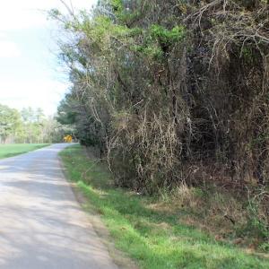 Photo of UNDER CONTRACT!  20 Acres of Timberland For Sale in Lunenburg County VA!