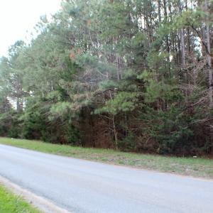 Photo of UNDER CONTRACT!  20 Acres of Timberland For Sale in Lunenburg County VA!