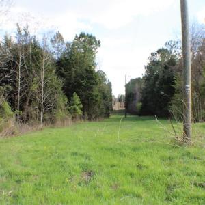 Photo of UNDER CONTRACT!  20 Acres of Timberland For Sale in Lunenburg County VA!
