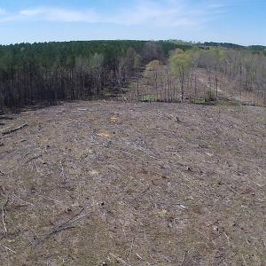 Photo of SOLD!  42 Acres of Hunting Land in Nash County NC!