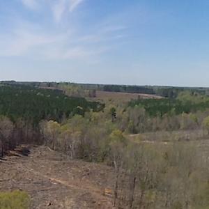 Photo of SOLD!  42 Acres of Hunting Land in Nash County NC!