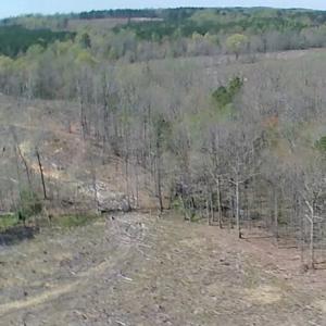 Photo of SOLD!  42 Acres of Hunting Land in Nash County NC!