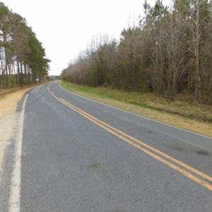 Photo of SOLD!  15.54 Acres of Hunting and Timber Land For Sale in Northampton County NC!