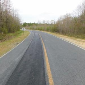 Photo of SOLD!  15.54 Acres of Hunting and Timber Land For Sale in Northampton County NC!