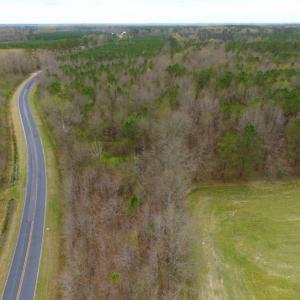 Photo of SOLD!  15.54 Acres of Hunting and Timber Land For Sale in Northampton County NC!