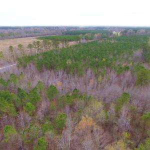 Photo of SOLD!  15.54 Acres of Hunting and Timber Land For Sale in Northampton County NC!