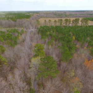 Photo of SOLD!  15.54 Acres of Hunting and Timber Land For Sale in Northampton County NC!