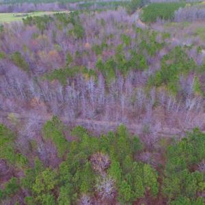 Photo of SOLD!  15.54 Acres of Hunting and Timber Land For Sale in Northampton County NC!