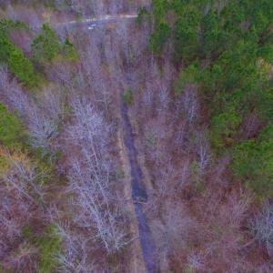 Photo of SOLD!  15.54 Acres of Hunting and Timber Land For Sale in Northampton County NC!