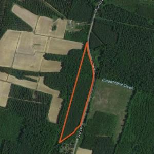 Photo of SOLD!  15.54 Acres of Hunting and Timber Land For Sale in Northampton County NC!