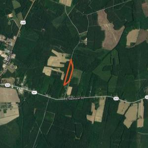 Photo of SOLD!  15.54 Acres of Hunting and Timber Land For Sale in Northampton County NC!