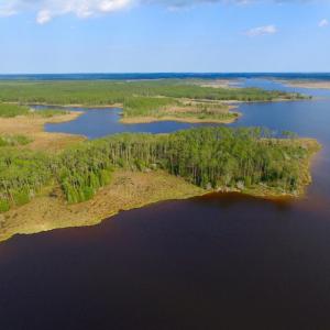 Photo of UNDER CONTRACT!  10.21 Acres of Waterfront Land For Sale in Hyde County NC!