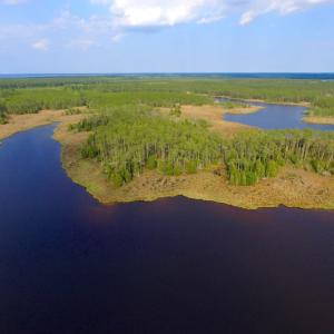 Photo of UNDER CONTRACT!  10.21 Acres of Waterfront Land For Sale in Hyde County NC!