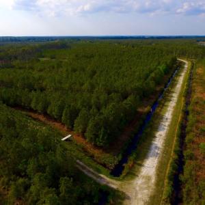 Photo of UNDER CONTRACT!  10.21 Acres of Waterfront Land For Sale in Hyde County NC!