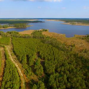 Photo of UNDER CONTRACT!  10.21 Acres of Waterfront Land For Sale in Hyde County NC!