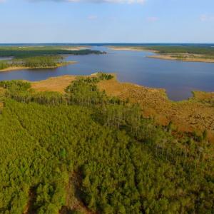 Photo of UNDER CONTRACT!  10.21 Acres of Waterfront Land For Sale in Hyde County NC!