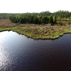 Photo of UNDER CONTRACT!  10.21 Acres of Waterfront Land For Sale in Hyde County NC!