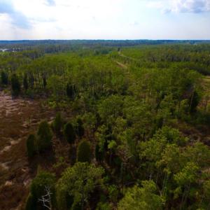 Photo of UNDER CONTRACT!  10.21 Acres of Waterfront Land For Sale in Hyde County NC!