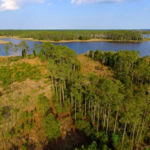 Photo of UNDER CONTRACT!  10.21 Acres of Waterfront Land For Sale in Hyde County NC!