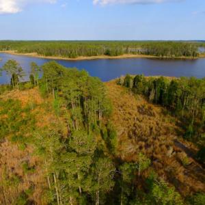 Photo of UNDER CONTRACT!  10.21 Acres of Waterfront Land For Sale in Hyde County NC!