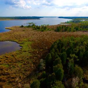 Photo of UNDER CONTRACT!  10.21 Acres of Waterfront Land For Sale in Hyde County NC!