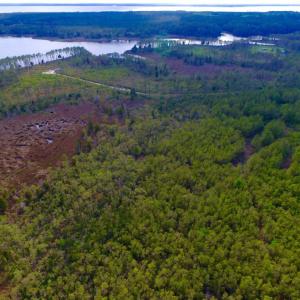 Photo of UNDER CONTRACT!  10.21 Acres of Waterfront Land For Sale in Hyde County NC!
