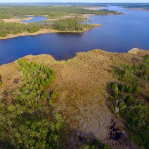 Photo of UNDER CONTRACT!  10.21 Acres of Waterfront Land For Sale in Hyde County NC!