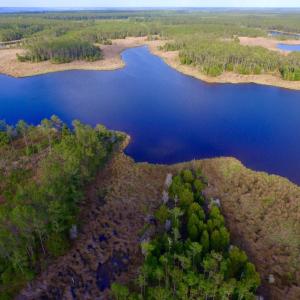 Photo of UNDER CONTRACT!  10.21 Acres of Waterfront Land For Sale in Hyde County NC!