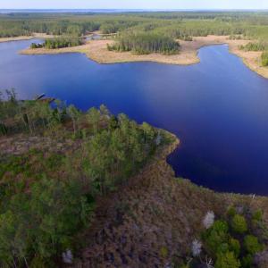 Photo of UNDER CONTRACT!  10.21 Acres of Waterfront Land For Sale in Hyde County NC!