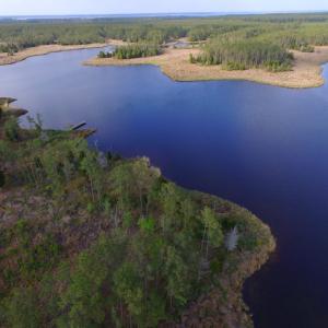Photo of UNDER CONTRACT!  10.21 Acres of Waterfront Land For Sale in Hyde County NC!
