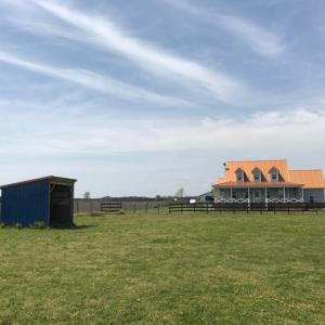 Photo of SOLD!  3.8 Acres of Land with House and Horse Barn For Sale in Pasquotank County NC!