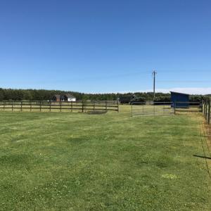 Photo of SOLD!  3.8 Acres of Land with House and Horse Barn For Sale in Pasquotank County NC!