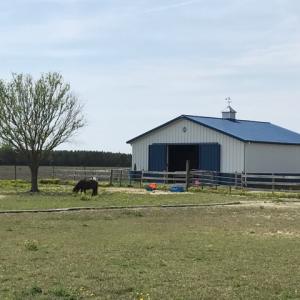 Photo of SOLD!  3.8 Acres of Land with House and Horse Barn For Sale in Pasquotank County NC!