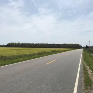 Photo of SOLD!  3.8 Acres of Land with House and Horse Barn For Sale in Pasquotank County NC!