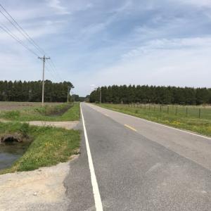 Photo of SOLD!  3.8 Acres of Land with House and Horse Barn For Sale in Pasquotank County NC!