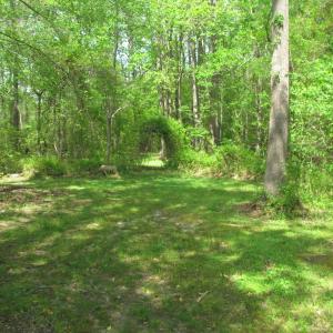 Photo of SOLD!  3.4 Acres of Residential Farm Land with Home in Isle of Wight County VA!