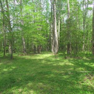Photo of SOLD!  3.4 Acres of Residential Farm Land with Home in Isle of Wight County VA!