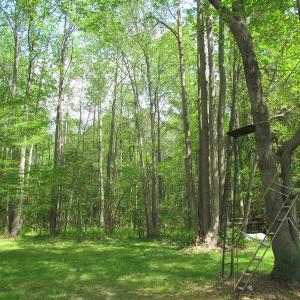 Photo of SOLD!  3.4 Acres of Residential Farm Land with Home in Isle of Wight County VA!