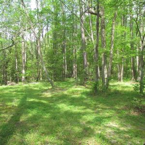 Photo of SOLD!  3.4 Acres of Residential Farm Land with Home in Isle of Wight County VA!