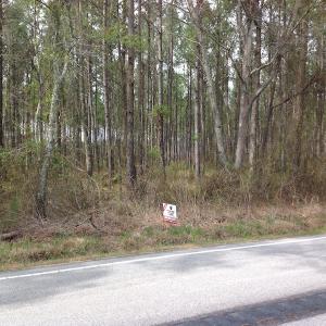 Photo of SOLD!  5 Acres of Residential Land For Sale in Surry County VA!