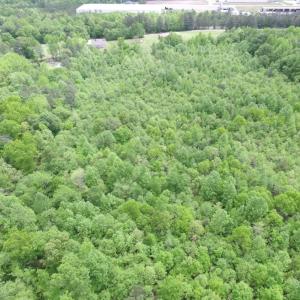 Photo of SOLD!  7.7 Acres of Residential Hunting Land For Sale in Greensville County VA!
