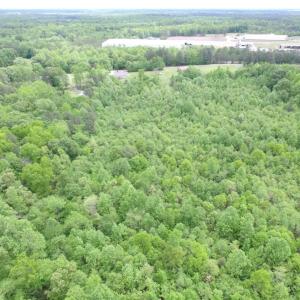 Photo of SOLD!  7.7 Acres of Residential Hunting Land For Sale in Greensville County VA!