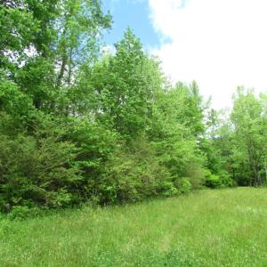 Photo of SOLD!  7.7 Acres of Residential Hunting Land For Sale in Greensville County VA!