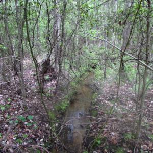 Photo of SOLD!  7.7 Acres of Residential Hunting Land For Sale in Greensville County VA!