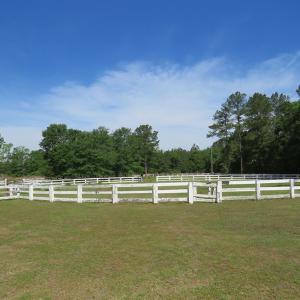 Photo of PENDING!  10 Acres of Residential and Horse Property For Sale in Scotland County NC!