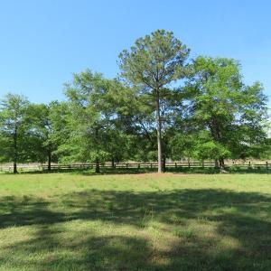 Photo of PENDING!  10 Acres of Residential and Horse Property For Sale in Scotland County NC!