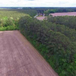 Photo of SOLD!  12.5 Acres of Hunting and Timber Land For Sale in Hertford County NC!