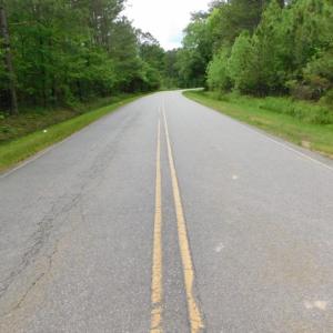 Photo of SOLD!  12.5 Acres of Hunting and Timber Land For Sale in Hertford County NC!